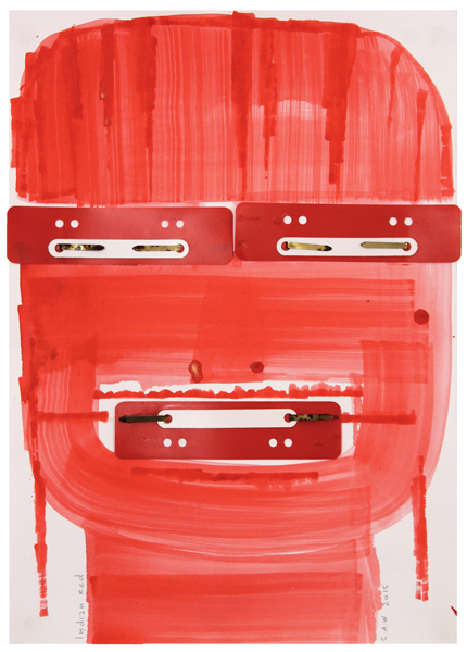 Indian red. Selfportrait. 2015